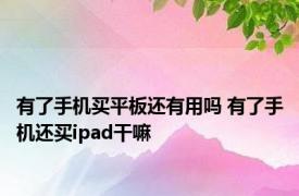 有了手机买平板还有用吗 有了手机还买ipad干嘛 