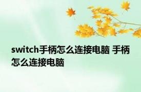 switch手柄怎么连接电脑 手柄怎么连接电脑 