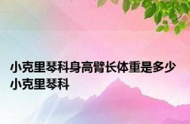 小克里琴科身高臂长体重是多少 小克里琴科 