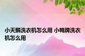 小天鹅洗衣机怎么用 小鸭牌洗衣机怎么用