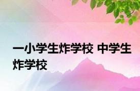 一小学生炸学校 中学生炸学校 