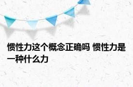 惯性力这个概念正确吗 惯性力是一种什么力