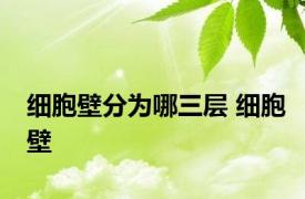 细胞壁分为哪三层 细胞壁 