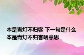 本是青灯不归客 下一句是什么 本是青灯不归客啥意思 