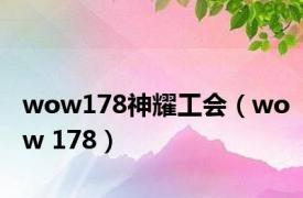 wow178神耀工会（wow 178）