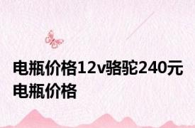 电瓶价格12v骆驼240元 电瓶价格 