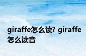 giraffe怎么读? giraffe怎么读音 