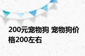 200元宠物狗 宠物狗价格200左右 