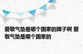 爱敬气垫是哪个国家的牌子啊 爱敬气垫是哪个国家的