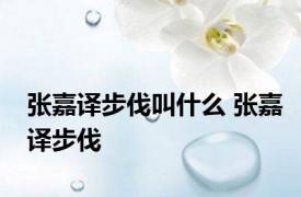 张嘉译步伐叫什么 张嘉译步伐 