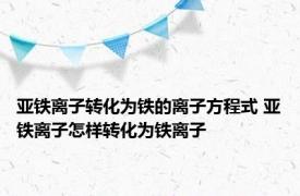 亚铁离子转化为铁的离子方程式 亚铁离子怎样转化为铁离子