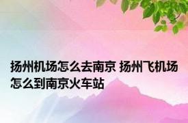 扬州机场怎么去南京 扬州飞机场怎么到南京火车站