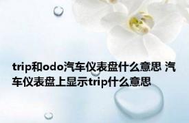 trip和odo汽车仪表盘什么意思 汽车仪表盘上显示trip什么意思