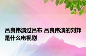 吕良伟演过吕布 吕良伟演的刘邦是什么电视剧