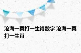 沧海一粟打一生肖数字 沧海一粟打一生肖 