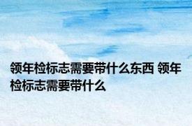 领年检标志需要带什么东西 领年检标志需要带什么