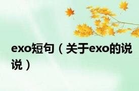 exo短句（关于exo的说说）