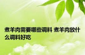 煮羊肉需要哪些调料 煮羊肉放什么调料好吃 