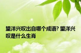 望洋兴叹出自哪个成语? 望洋兴叹是什么生肖 