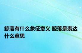 鲸落有什么象征意义 鲸落是表达什么意思 