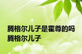 腾格尔儿子是霍尊的吗 腾格尔儿子 