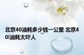 北京40油耗多少钱一公里 北京40l油耗太吓人 