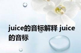 juice的音标解释 juice的音标 