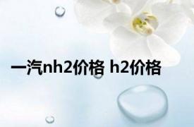 一汽nh2价格 h2价格 