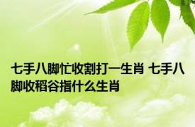 七手八脚忙收割打一生肖 七手八脚收稻谷指什么生肖