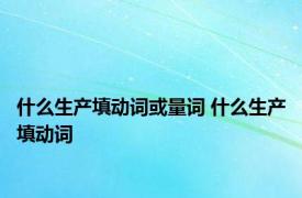 什么生产填动词或量词 什么生产填动词 