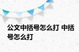 公文中括号怎么打 中括号怎么打