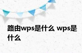 路由wps是什么 wps是什么