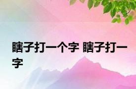 瞎子打一个字 瞎子打一字 