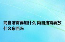 筒自洁需要加什么 筒自洁需要放什么东西吗