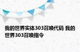 我的世界实体303召唤代码 我的世界303召唤指令 