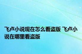 飞卢小说现在怎么看盗版 飞卢小说在哪里看盗版 