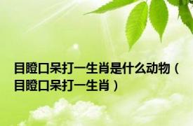 目瞪口呆打一生肖是什么动物（目瞪口呆打一生肖）