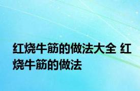 红烧牛筋的做法大全 红烧牛筋的做法