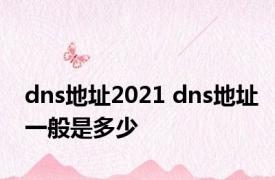 dns地址2021 dns地址一般是多少