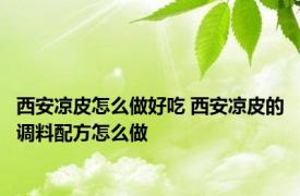 西安凉皮怎么做好吃 西安凉皮的调料配方怎么做