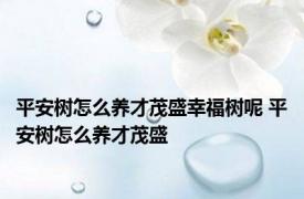 平安树怎么养才茂盛幸福树呢 平安树怎么养才茂盛