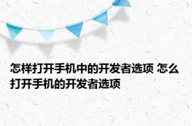 怎样打开手机中的开发者选项 怎么打开手机的开发者选项