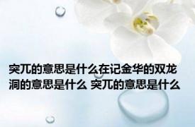 突兀的意思是什么在记金华的双龙洞的意思是什么 突兀的意思是什么 