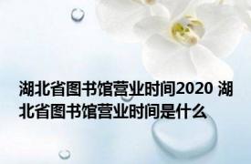 湖北省图书馆营业时间2020 湖北省图书馆营业时间是什么