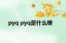 pyq pyq是什么梗