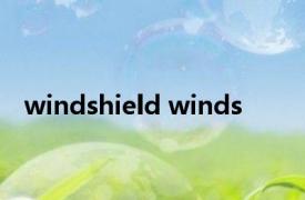 windshield winds 