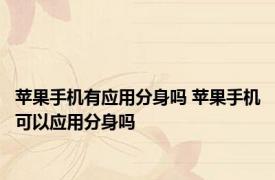 苹果手机有应用分身吗 苹果手机可以应用分身吗