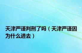 天津严谨判刑了吗（天津严谨因为什么进去）