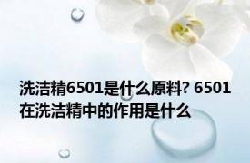 洗洁精6501是什么原料? 6501在洗洁精中的作用是什么