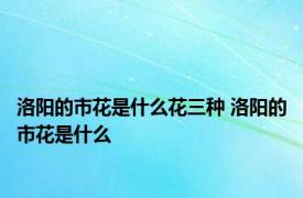 洛阳的市花是什么花三种 洛阳的市花是什么